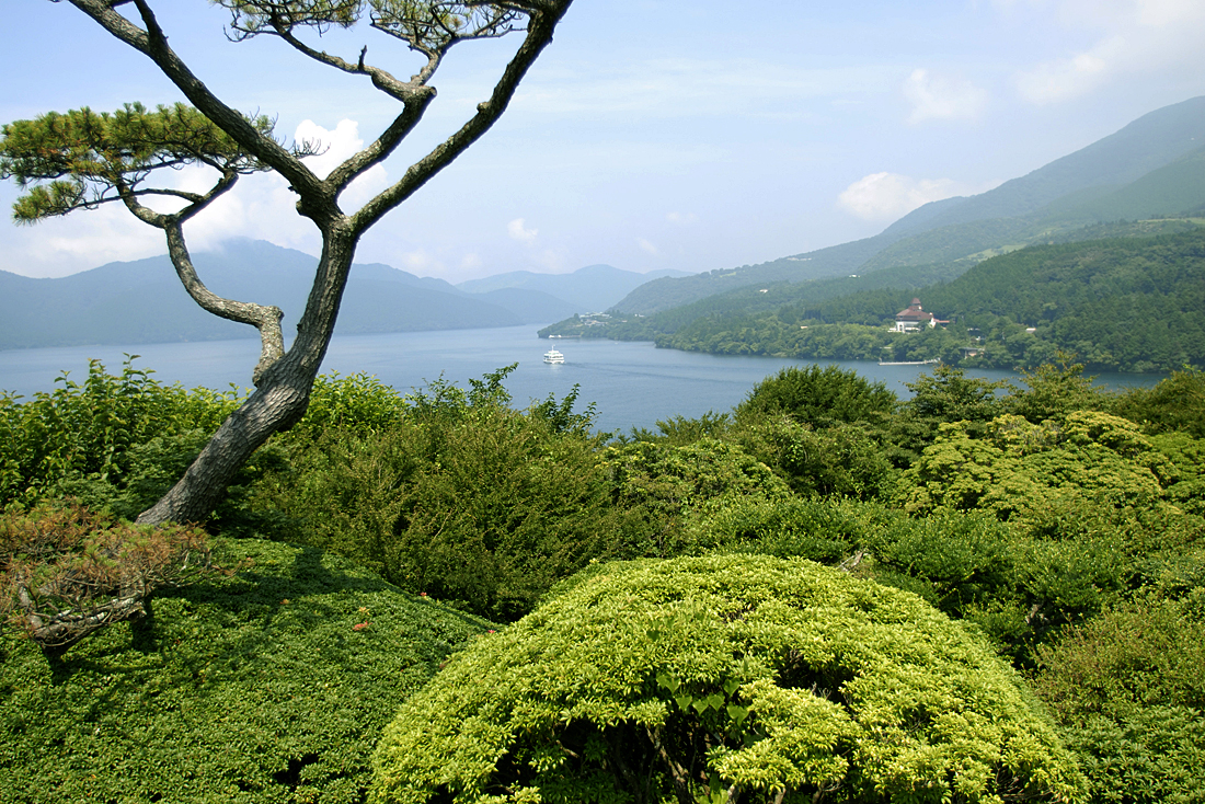 恩賜箱根公園の新緑