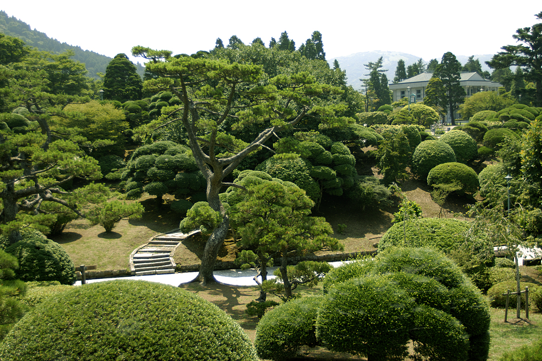 恩賜箱根公園の新緑