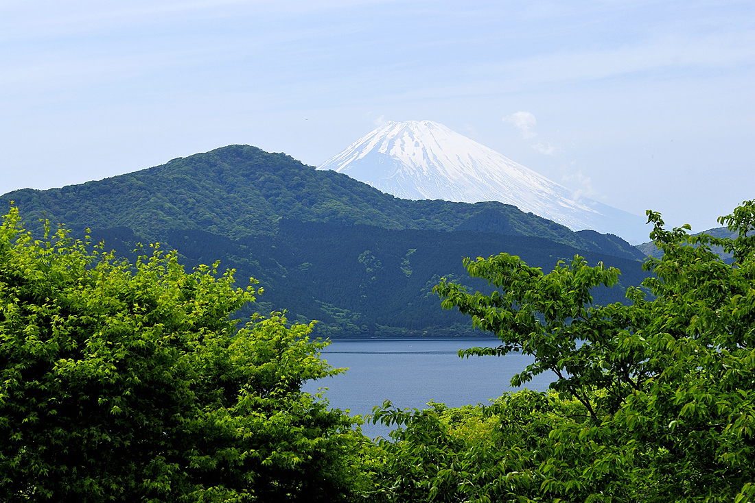 恩賜箱根公園の新緑