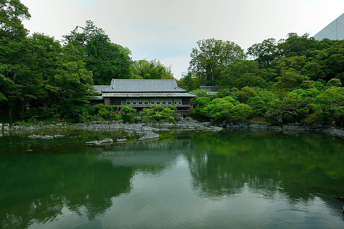 新緑の楽寿園