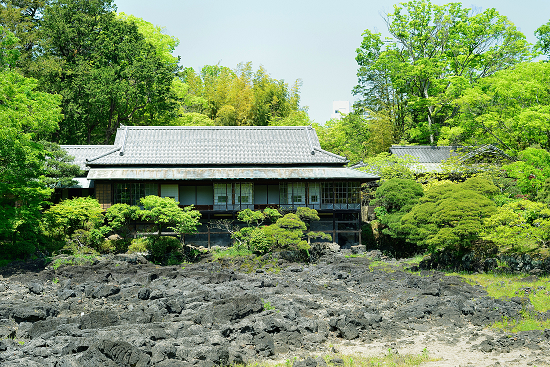 新緑の楽寿園