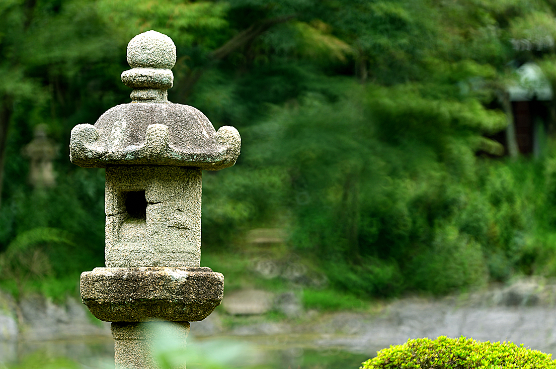 新緑の楽寿園