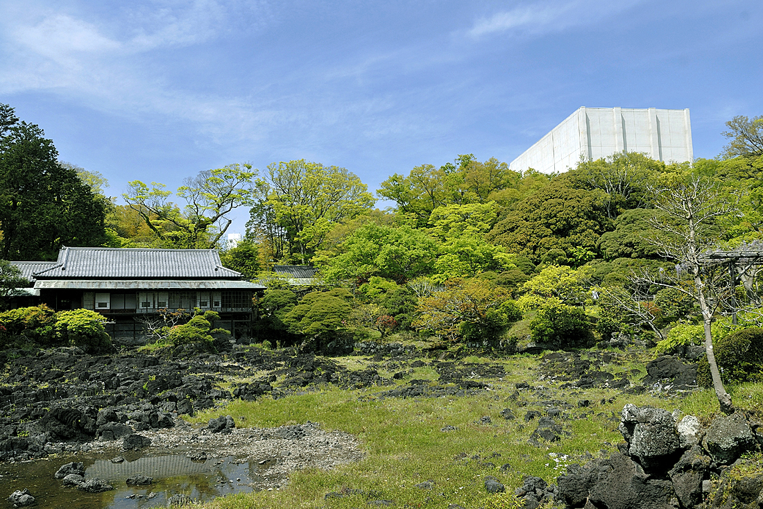 新緑の楽寿園