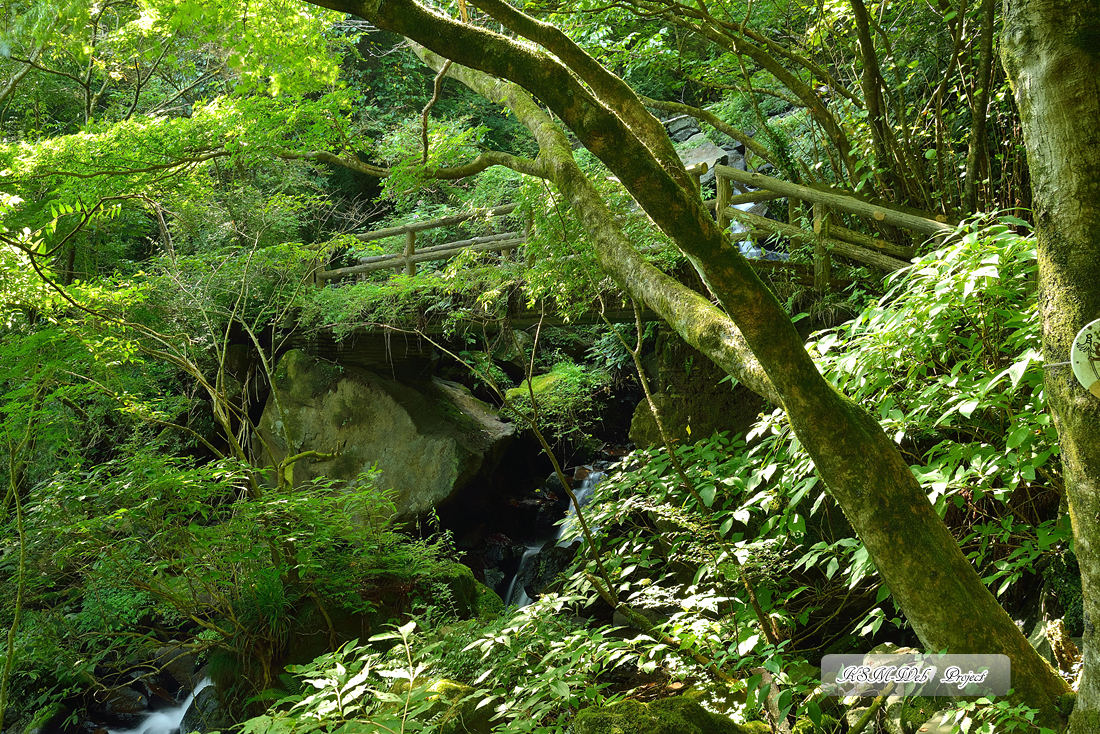飛竜（龍）の滝
