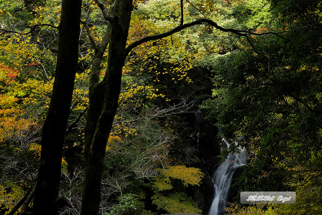二階滝
